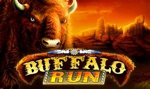 Buffalo Run