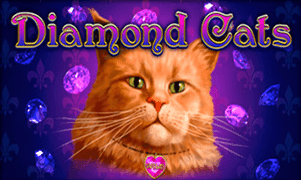 Diamond Cats