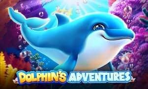 Dolphin Adventures