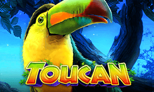 Toucan