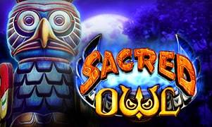 Sacred Owl