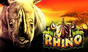 Rhino