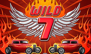 Wild 7