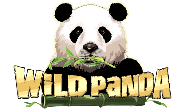 Wild Panda