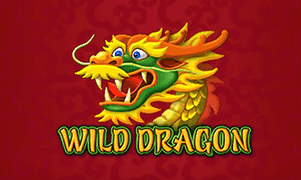 Wild Dragon